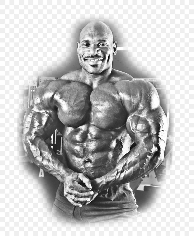 Above & Beyond Physiques Shoulder Service Bodybuilding, PNG, 750x1000px, Watercolor, Cartoon, Flower, Frame, Heart Download Free