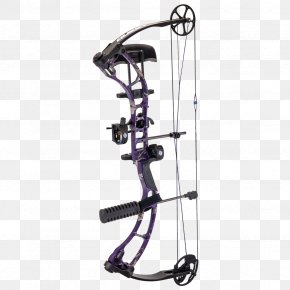 Bow Package - Bow And Arrow Compound Bows Archery Bowhunting PNG