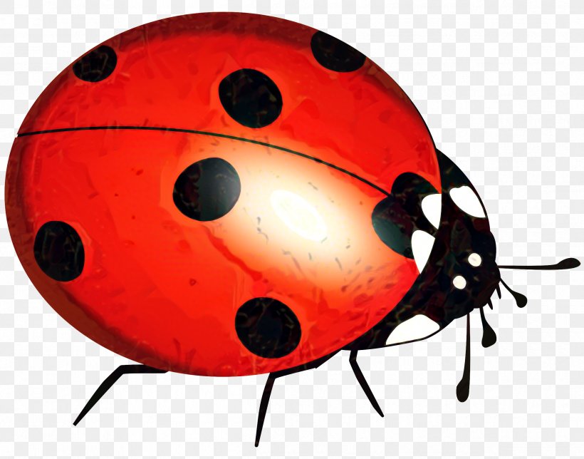 Ladybird Beetle Clip Art Vector Graphics, PNG, 2395x1882px, Beetle, Arthropod, Drawing, Insect, Invertebrate Download Free