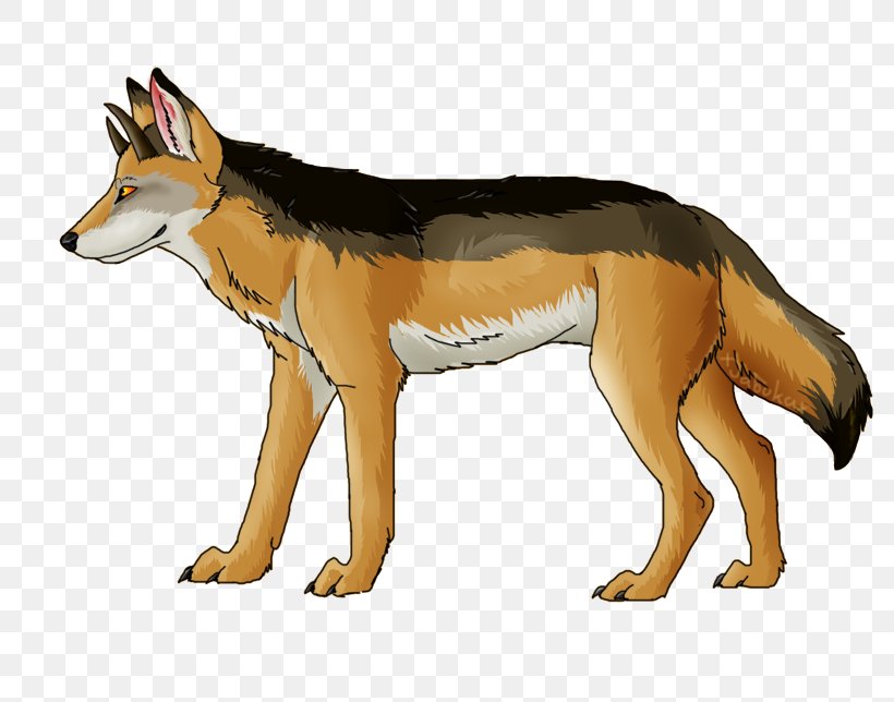 Red Fox Coyote Gray Wolf Red Wolf Jackal, PNG, 805x644px, Red Fox, Carnivoran, Character, Coyote, Dog Like Mammal Download Free