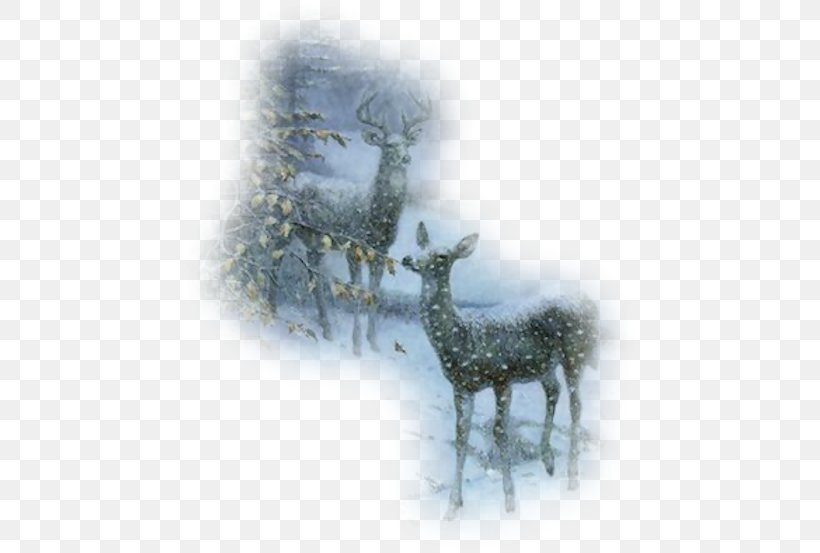 Reindeer Red Deer Roe Deer, PNG, 454x553px, Reindeer, Animal, Antler, Christmas, Deer Download Free