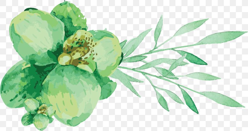 Watercolor Painting Engadine Leaf Vegetable Cut Flowers, PNG, 820x433px, Watercolor Painting, Architecture, Art Museum, Branch, Color Download Free