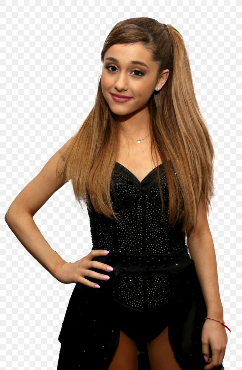 Ariana Grande United States Jingle Ball Tour 2016 KIIS-FM Jingle Ball Hairstyle, PNG, 1024x1560px, Watercolor, Cartoon, Flower, Frame, Heart Download Free