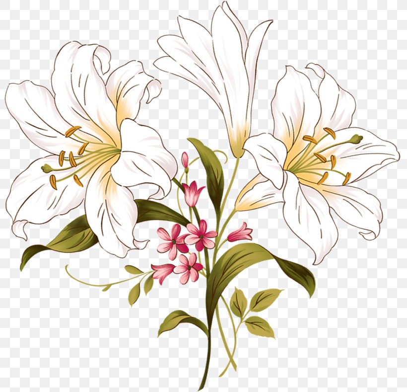 Floral Design Lilium Flower, PNG, 804x789px, Floral Design, Alstroemeriaceae, Art, Botanical Illustration, Botany Download Free