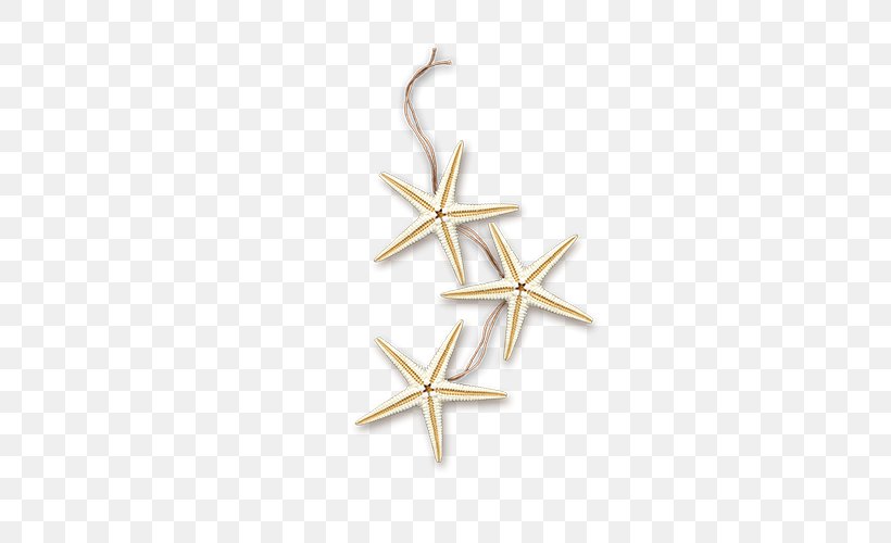 Gostinyy Dom Sea Starfish Icon, PNG, 500x500px, Sea, Body Jewelry, Gratis, Ico, Jewellery Download Free
