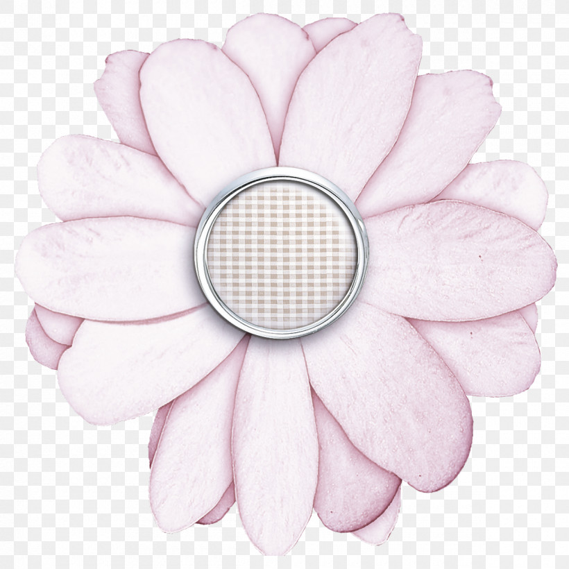 Petal White Pink Flower Plant, PNG, 1200x1200px, Petal, Flower, Gerbera, Magnolia, Pink Download Free