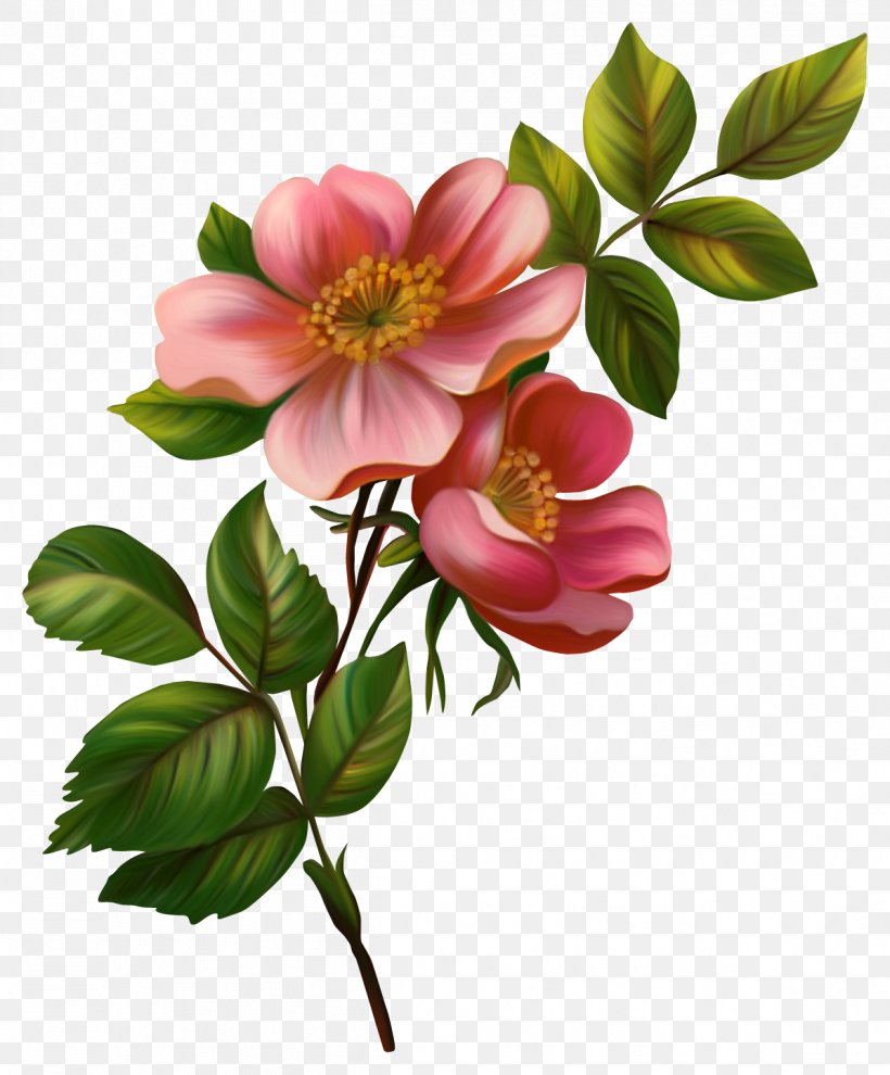 Saturday Happiness Shabbat Good, PNG, 1197x1446px, Saturday, Akhir Pekan, Blossom, Branch, Cut Flowers Download Free