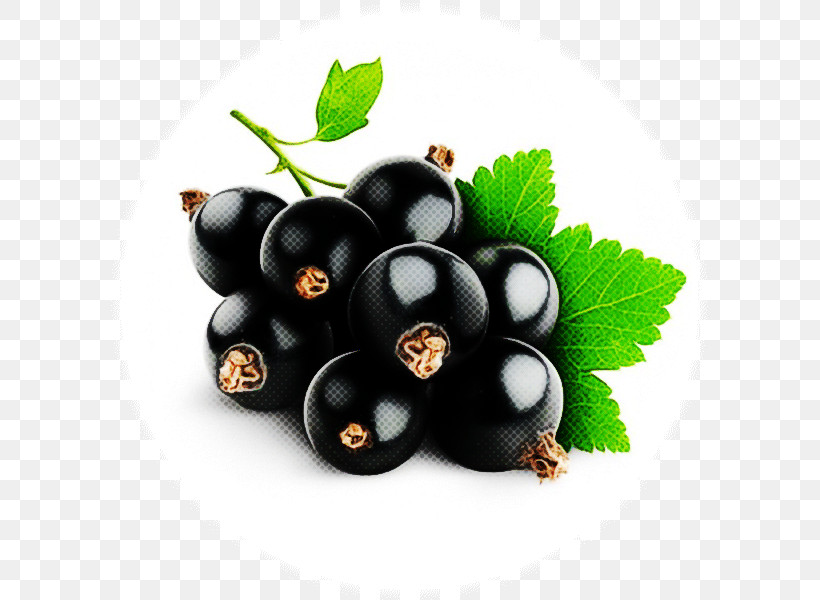 Berry Fruit Plant Food Superfood, PNG, 600x600px, Berry, Blackberry, Chokeberry, Currant, Food Download Free