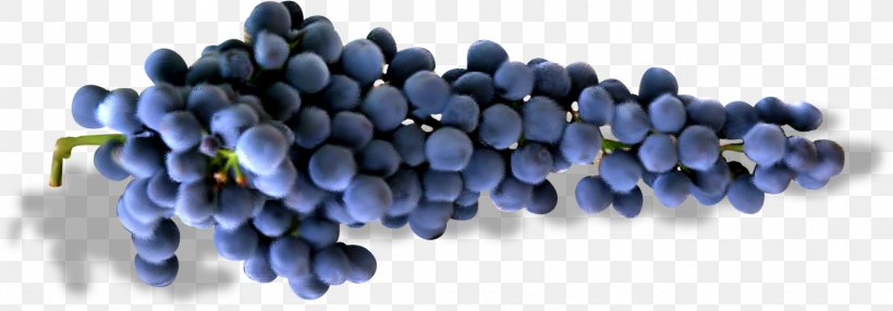 Grape Auglis Fruit Autumn, PNG, 1536x536px, Grape, Auglis, Autumn, Berry, Bilberry Download Free