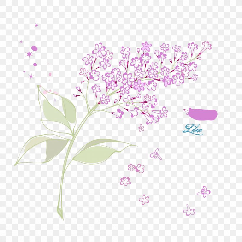 Petal Flower Syzygium Aromaticum, PNG, 1000x1000px, Petal, Blossom, Branch, Cherry Blossom, Common Lilac Download Free