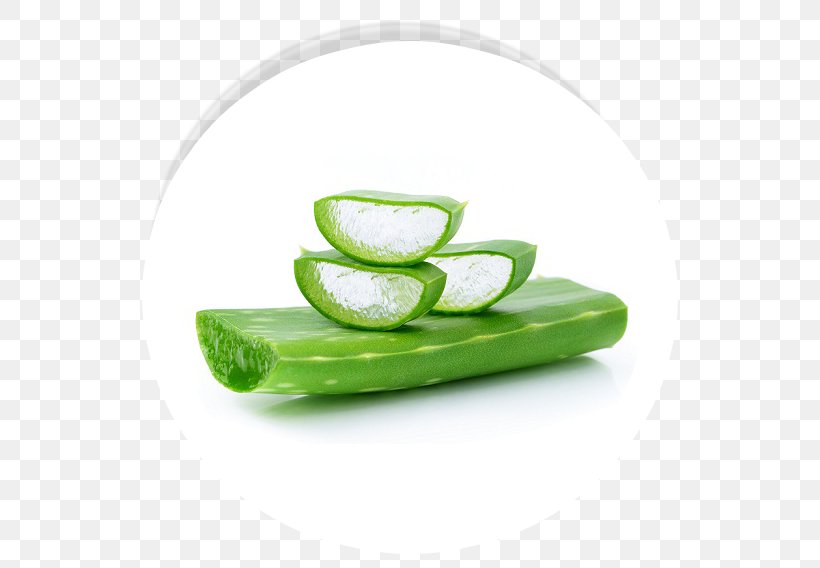 Aloe Vera Skin Care Gel Health, PNG, 598x568px, Aloe Vera, Aloe, Alternative Medicine, Cucumber, Cure Download Free