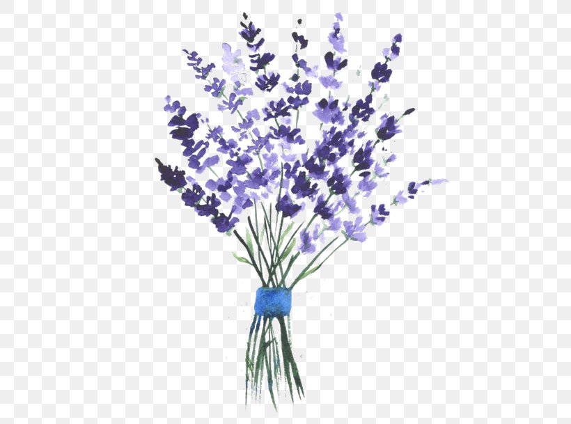 English Lavender Watercolor Painting Clip Art, PNG, 480x609px, English ...