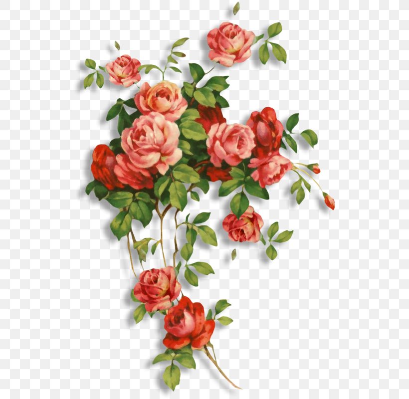 Flower Desktop Wallpaper Clip Art Image Painting, PNG, 528x800px, Flower, Artificial Flower, Botany, Bouquet, Branch Download Free