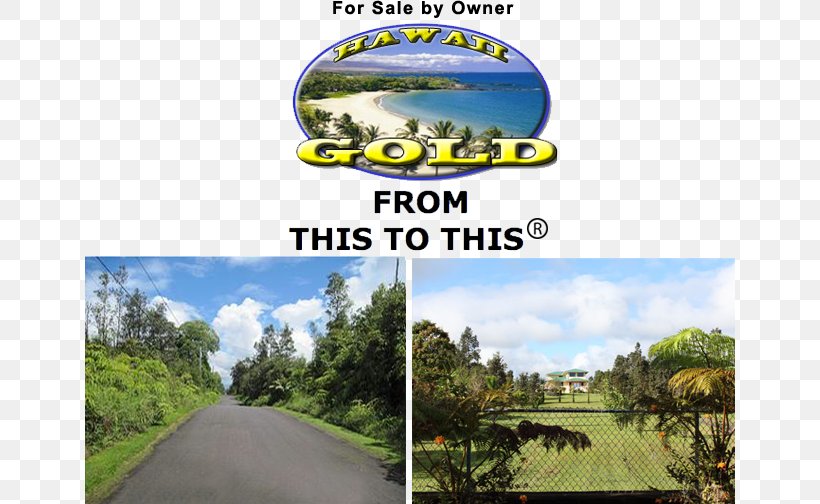 Hilo International Airport Land Lot Rural Land Sales Property Acre, PNG, 650x504px, Hilo International Airport, Acre, Advertising, Airport, Beach Download Free