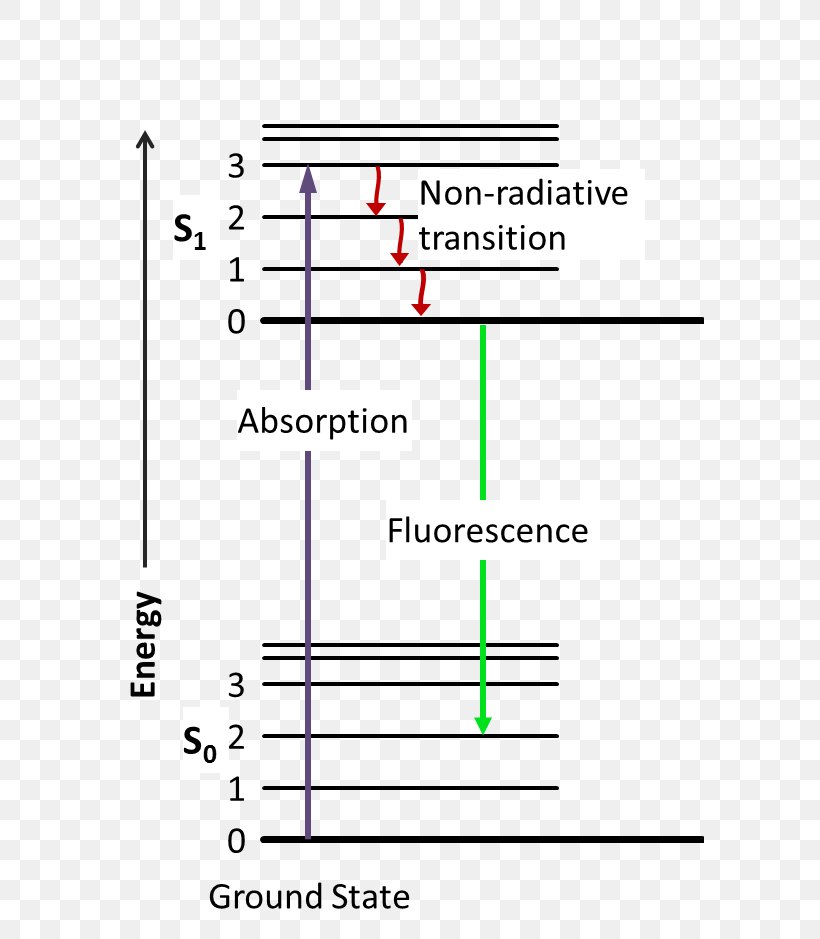 Jablonski Diagram Fluorescence Excited State Phosphorescence Absorption, PNG, 621x939px, Jablonski Diagram, Absorption, Area, Diagram, Emission Spectrum Download Free