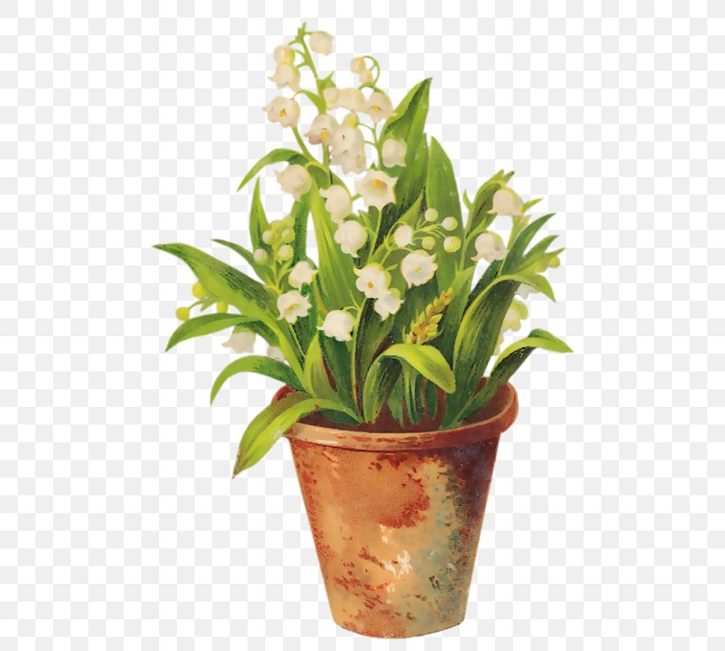 Lily Of The Valley Flowerpot Sony Xperia Z5 Premium Photography, PNG, 500x736px, Lily Of The Valley, Animaatio, Computer, Cut Flowers, Floristry Download Free