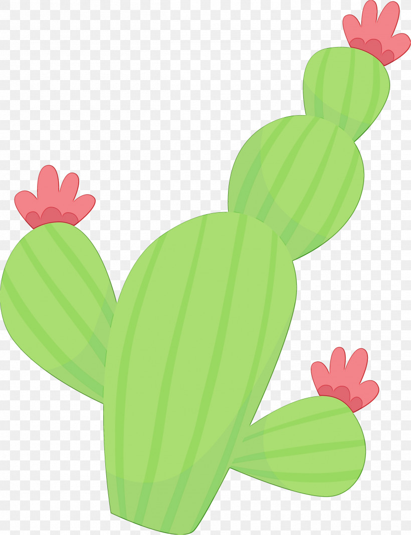 Cactus, PNG, 2507x3270px, Watercolor, Cactus, Frogs, Green, Paint Download Free