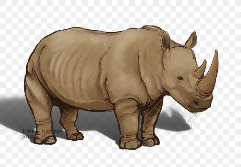 Rhinoceros Terrestrial Animal Wildlife Snout, PNG, 1600x1112px, Rhinoceros, Animal, Animal Figure, Fauna, Horn Download Free