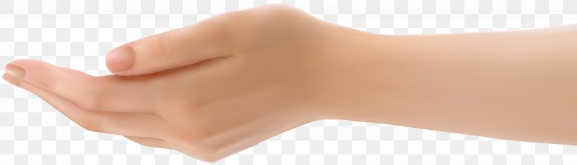 Thumb Shoulder, PNG, 8000x2294px, Finger, Arm, Close Up, Hand, Joint Download Free