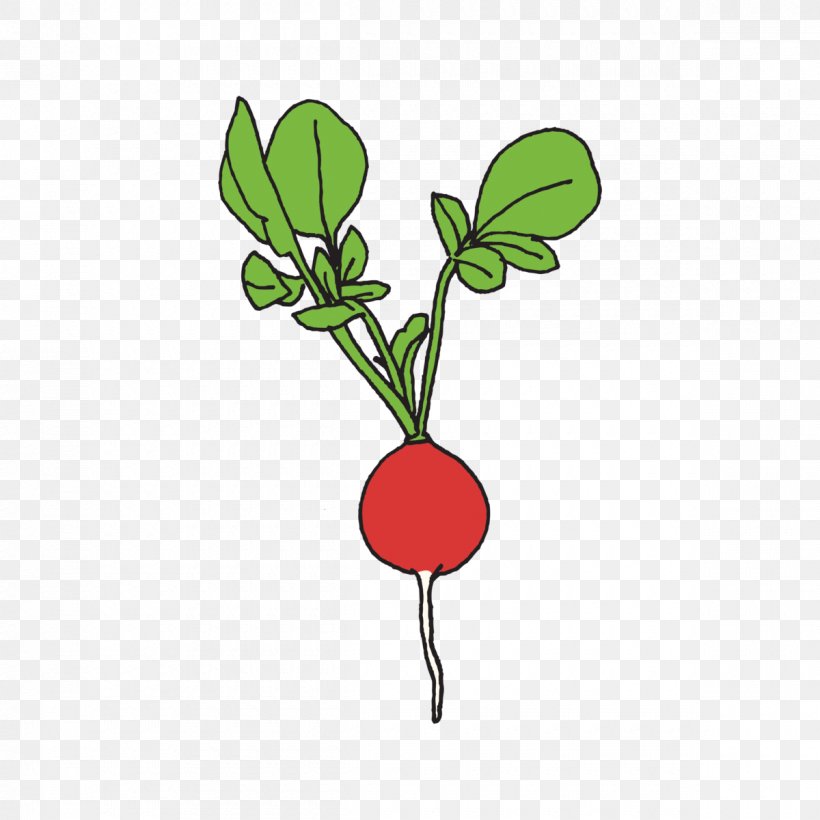 Abziehtattoo Vegetable Clip Art Food, PNG, 1200x1200px, Tattoo, Abziehtattoo, Branch, Cooking, Flora Download Free