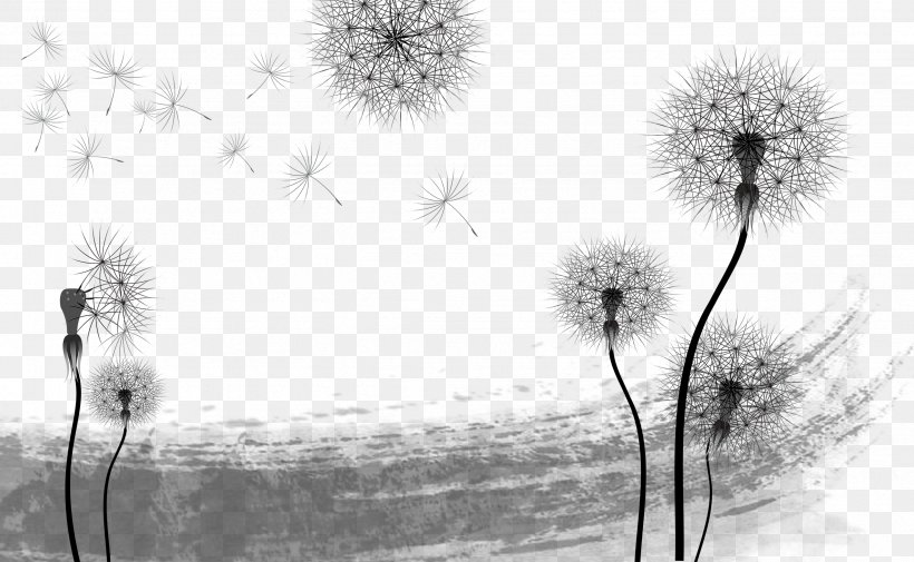 Common Dandelion Euclidean Vector Wallpaper, PNG, 2551x1573px, Common Dandelion, Black, Black And White, Dandelion, Floral Design Download Free