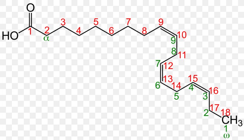 Fatty Acid Desaturase Locant Linoleic Acid, PNG, 1024x590px, Fatty Acid, Acid, Area, Carboxylic Acid, Chemical Nomenclature Download Free