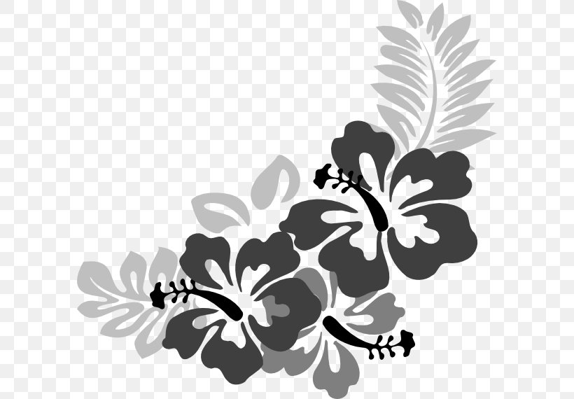 Hawaiian Hibiscus Clip Art, PNG, 600x570px, Hibiscus, Alyogyne Huegelii, Art, Black, Black And White Download Free