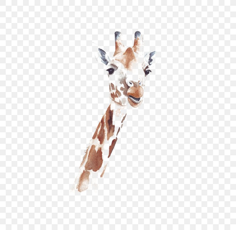 Watercolor: Animals Northern Giraffe Watercolor Painting Drawing, PNG, 804x800px, Watercolor Animals, Animal, Art, Color, Drawing Download Free