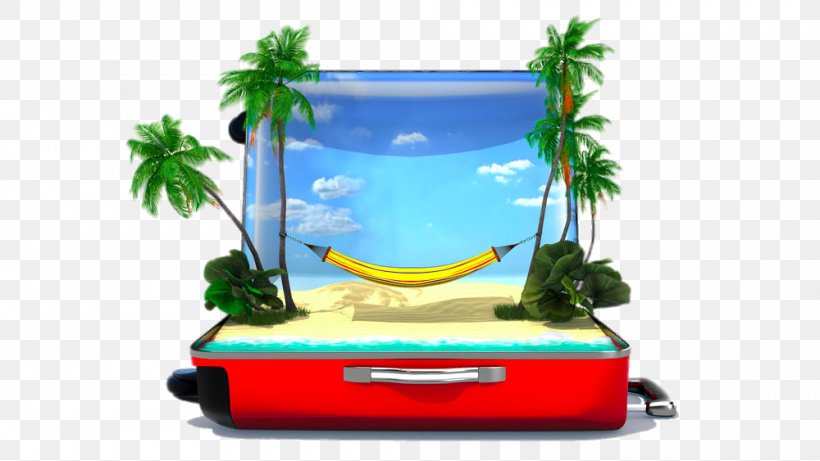 Baggage Vacation Stock Photography Travel Stock Illustration, PNG, 1000x563px, Baggage, Baggage Carousel, Concept, Photography, Plant Download Free