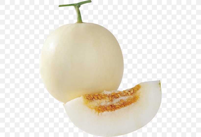 Cantaloupe Honeydew Seed Cucumber Melon, PNG, 500x559px, Cantaloupe, Bitter Melon, Cucumber, Cucumber Gourd And Melon Family, Cucumis Download Free