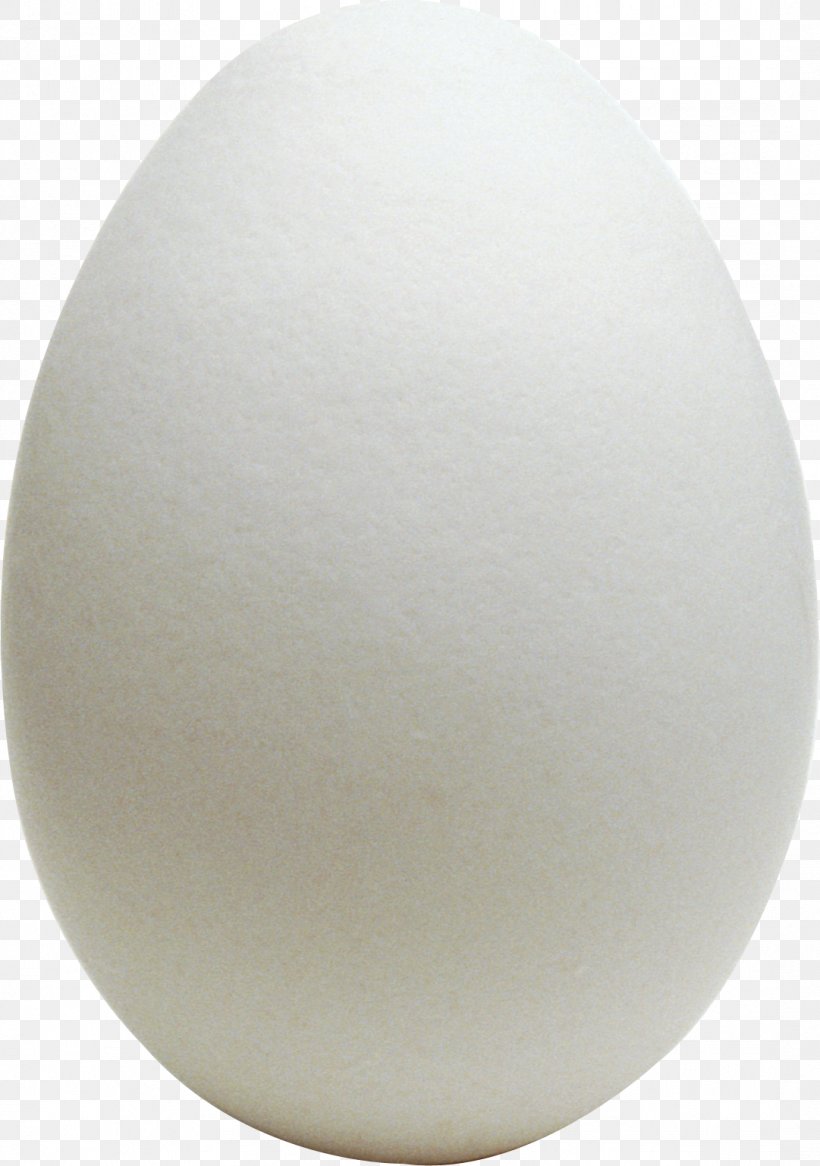 Chicken Egg Chicken Egg Omelette World Egg Day, PNG, 1081x1538px, Egg Download Free