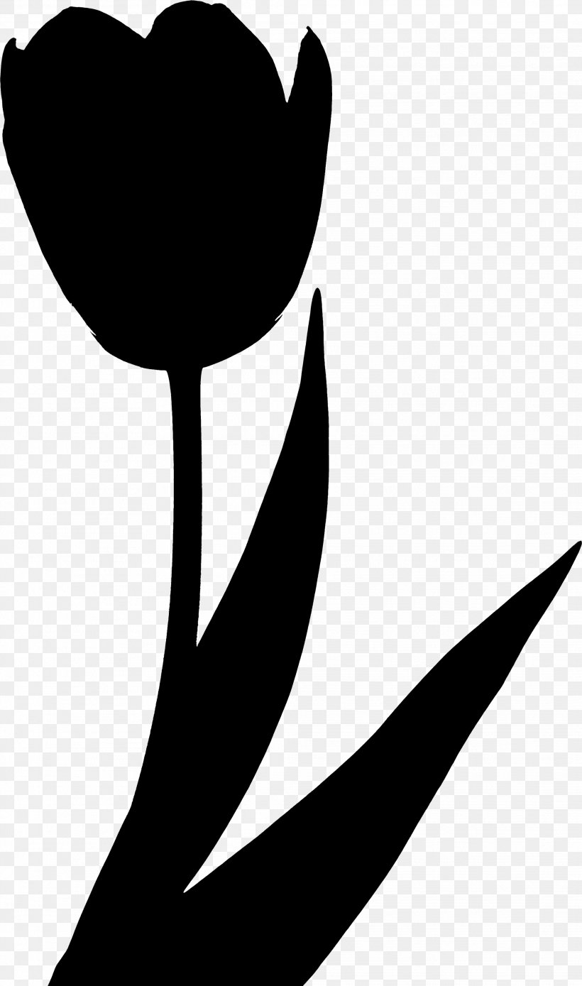 Flowering Plant Clip Art Silhouette Leaf, PNG, 2078x3521px, Flower, Black M, Blackandwhite, Botany, Flowering Plant Download Free