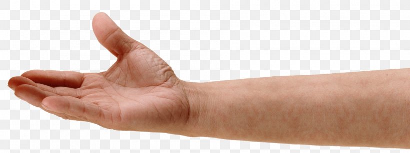 Hand Thumb, PNG, 1891x708px, Hand, Arm, Ear, Finger, Gesture Download Free