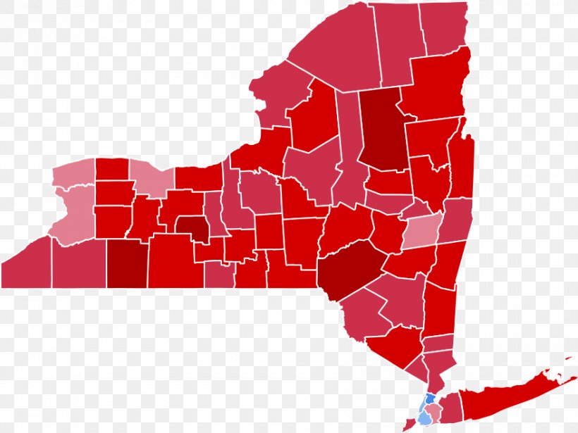 New York City New York Gubernatorial Election, 2018 New York State Election, 1962 United States Presidential Election Governor Of New York, PNG, 880x660px, New York City, Area, Election, Governor Of New York, New York Download Free