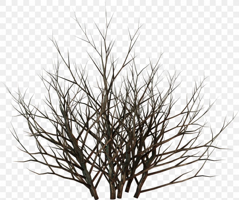 Tree Raster Graphics Clip Art, PNG, 1789x1500px, Tree, Black And White, Branch, Digital Image, Grass Download Free