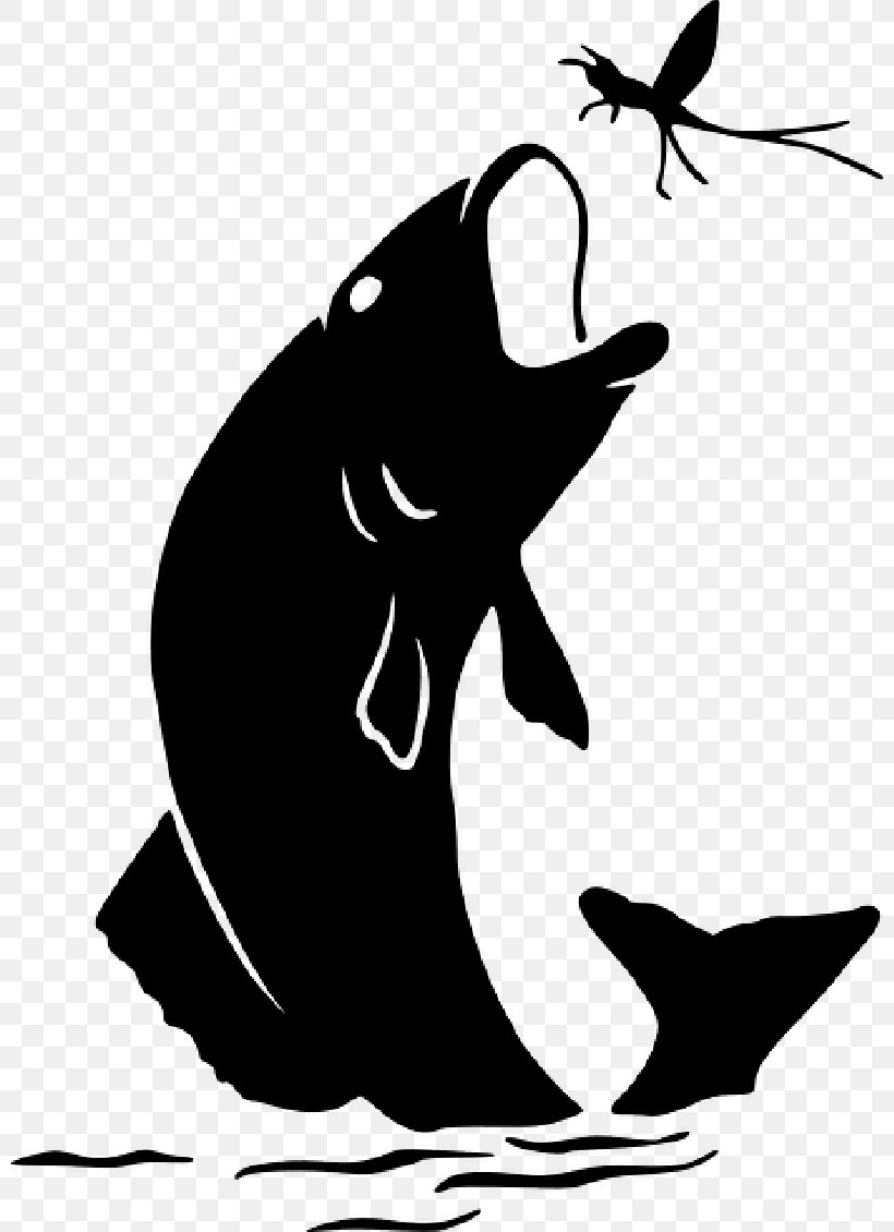 Vector Graphics Clip Art Bass Fishing Image, PNG, 800x1130px, Bass Fishing, Art, Bass, Blackandwhite, Bottlenose Dolphin Download Free