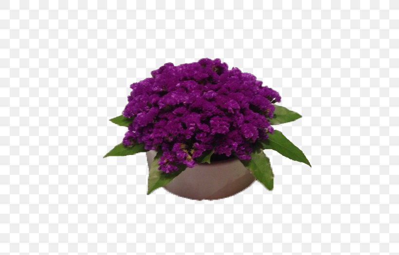Violet Flowerpot Clip Art, PNG, 700x525px, Violet, African Violets, Annual Plant, Blue, Cut Flowers Download Free