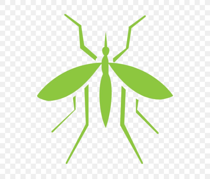 Mosquito Insect Pest Control Cockroach, PNG, 700x700px, Mosquito, Ant, Bed Bug, Cockroach, Exterminator Download Free