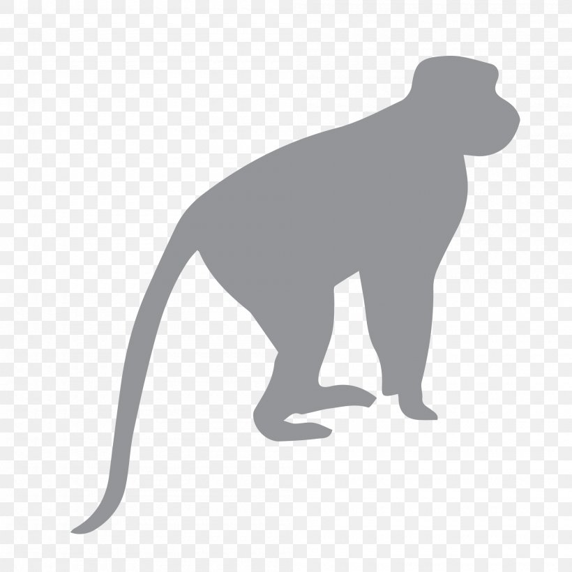 Ape Fossil Primates Chimpanzee Monkey, PNG, 2000x2000px, 2018, Ape, Black, Black And White, Carnivoran Download Free