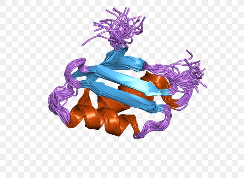 ATP7A Menkes Disease ATP Hydrolysis P-type ATPase, PNG, 800x600px, Menkes Disease, Adenosine Triphosphate, Atp Hydrolysis, Atpase, Copper Download Free