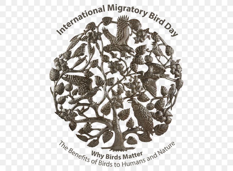 Bird Migration IMDb World Migratory Bird Day, PNG, 600x600px, Bird, Animal Migration, Art, Bird Day, Bird Migration Download Free