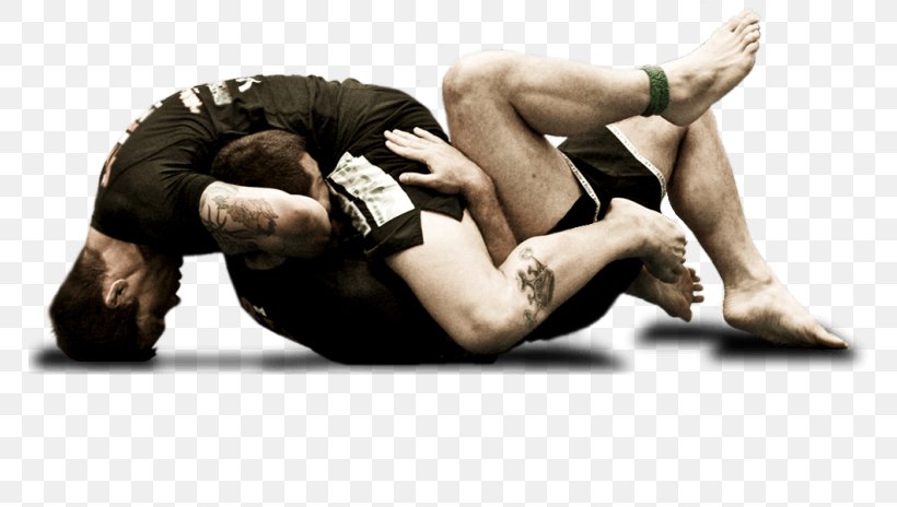 Grappling Brazilian Jiu-jitsu Gi Submission Wrestling Jujutsu, PNG, 768x464px, Grappling, Aggression, Arm, Brazilian Jiujitsu, Brazilian Jiujitsu Gi Download Free