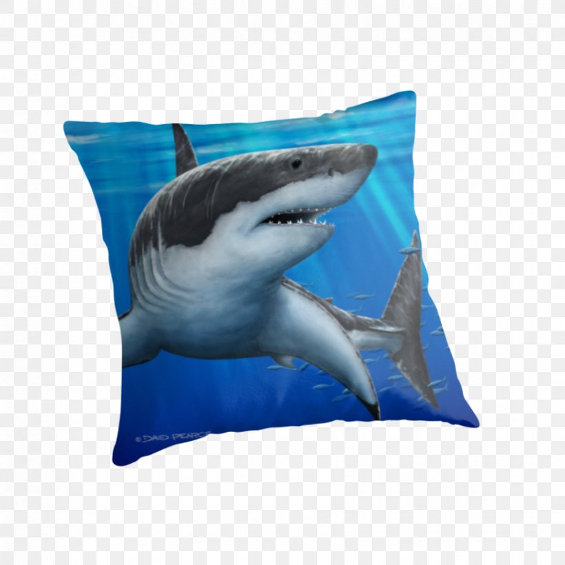 Lamniformes Great White Shark Chondrichthyes Fish Pillow, PNG, 875x875px, Lamniformes, Art, Cartilage, Cartilaginous Fish, Chondrichthyes Download Free