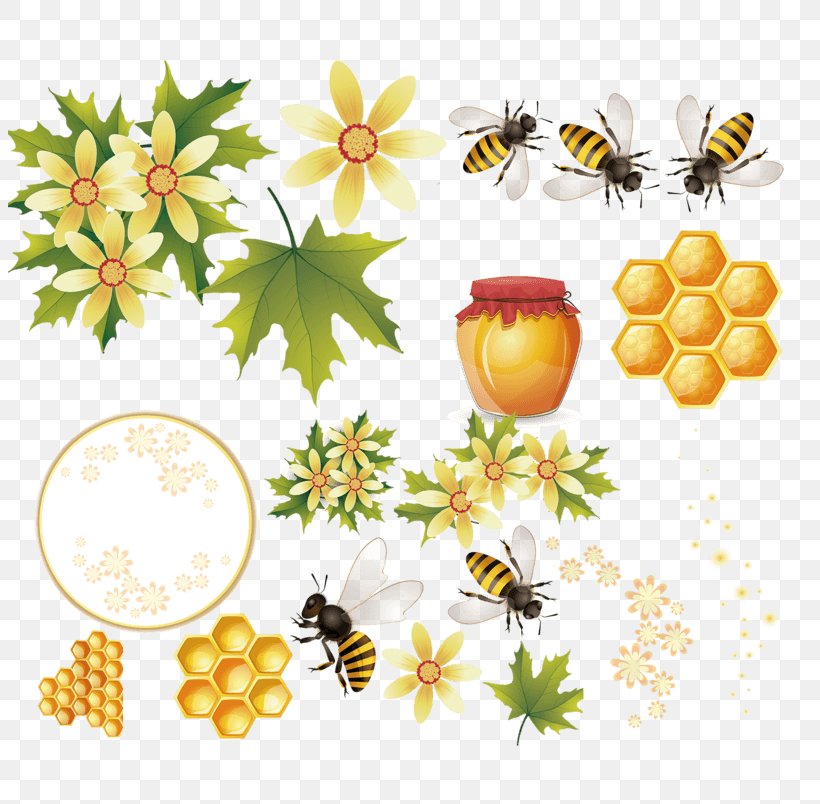 Western Honey Bee Beehive Vector Graphics, PNG, 804x804px, Western Honey Bee, Arthropod, Bee, Beehive, Bees And Honey Download Free