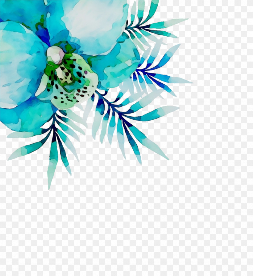Aqua Turquoise Plant Flower Turquoise, PNG, 900x985px, Watercolor, Aqua, Flower, Paint, Plant Download Free