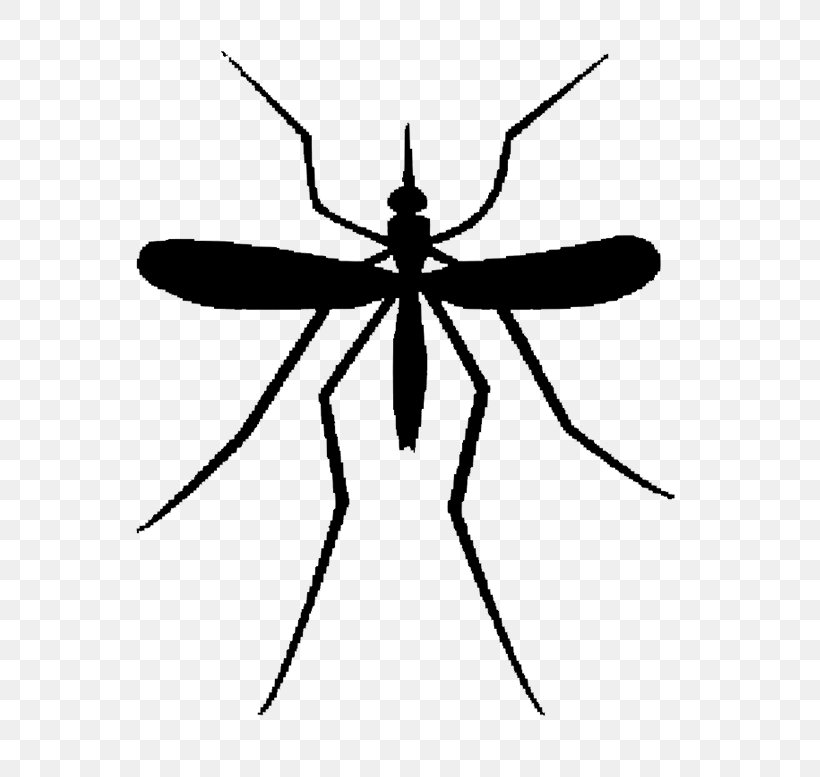 Clip Art Mosquito Illustration Image, PNG, 698x777px, Mosquito, Arthropod, Insect, Invertebrate, Membranewinged Insect Download Free