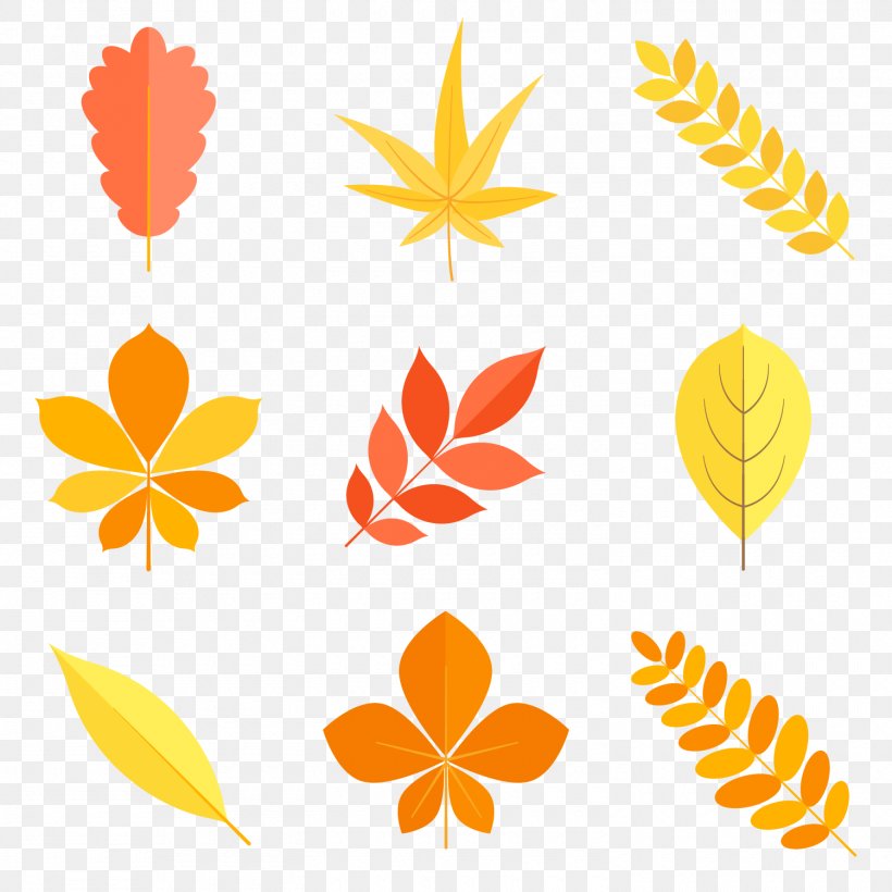 Leaf Clip Art, PNG, 1500x1500px, Leaf, Area, Autumn, Clip Art, Floral Design Download Free