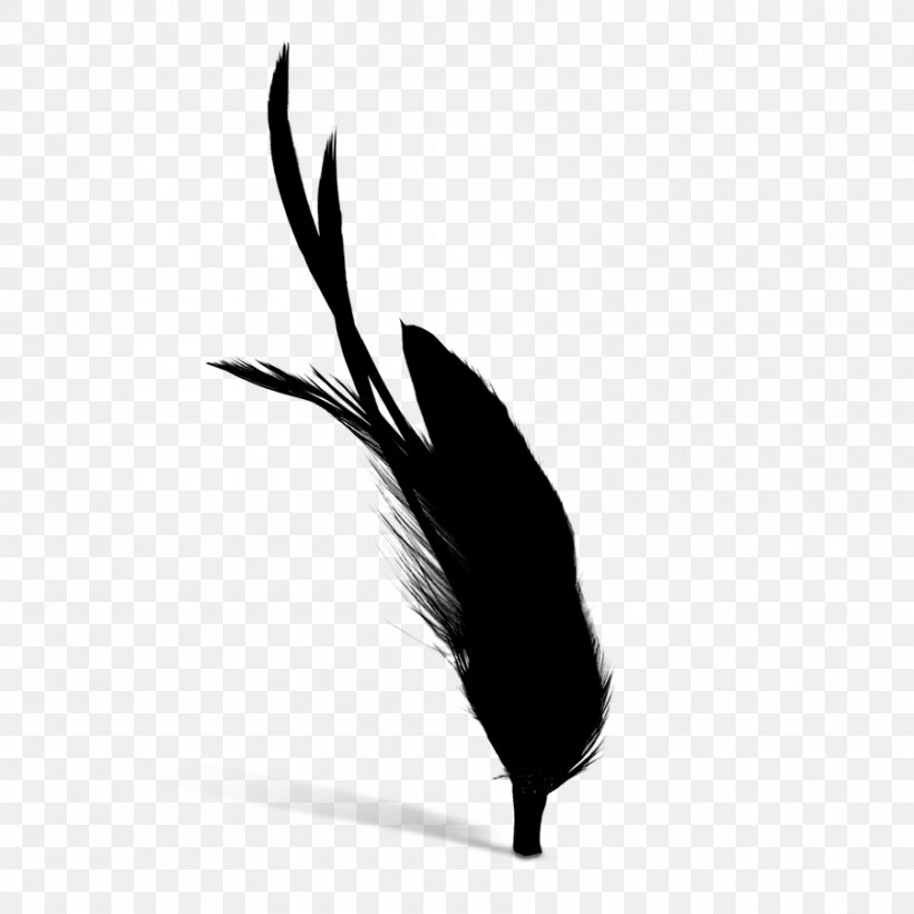Quill Black M, PNG, 900x900px, Quill, Black M, Blackandwhite, Fashion Accessory, Feather Download Free