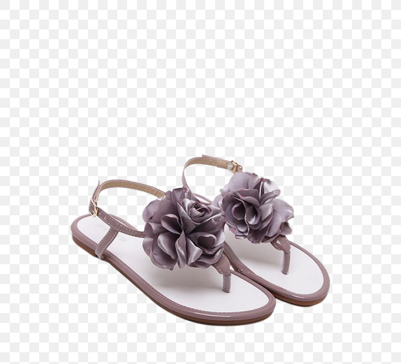 Flip-flops Fashion Sandal Patent Leather Shoe, PNG, 558x744px, Flipflops, Fashion, Flip Flops, Flower, Footwear Download Free