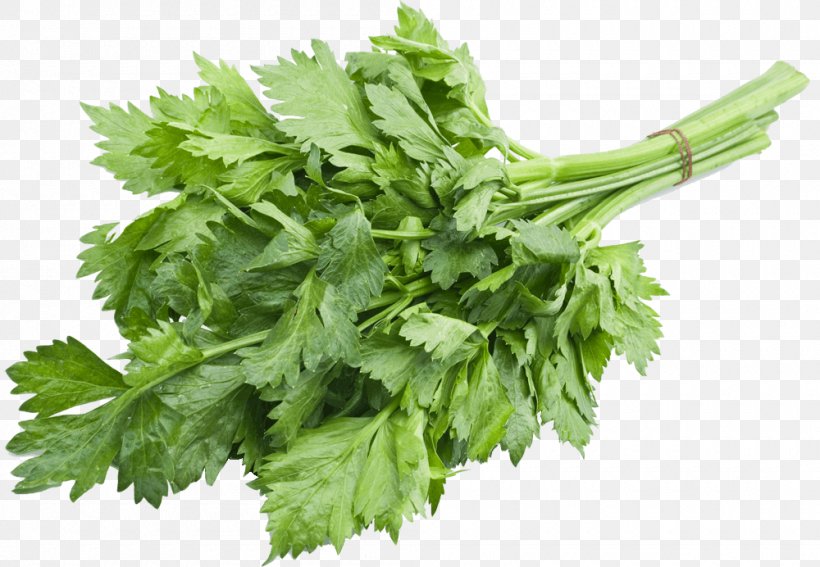 Leaf Celery Celeriac Vegetable Herb, PNG, 1000x692px, Leaf Celery, Celeriac, Celery, Coriander, Food Download Free